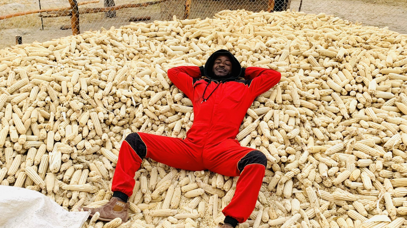 Agriculture: les jeunes agriculteurs zimbabwéens mènent la charge